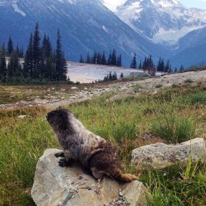 10599305_10152356499436799_7535960489082328772_n