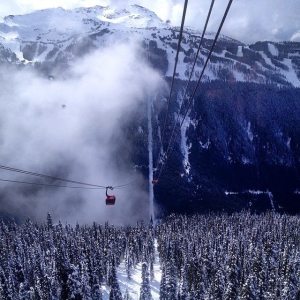 1959747_10152089353371799_1791516738_n