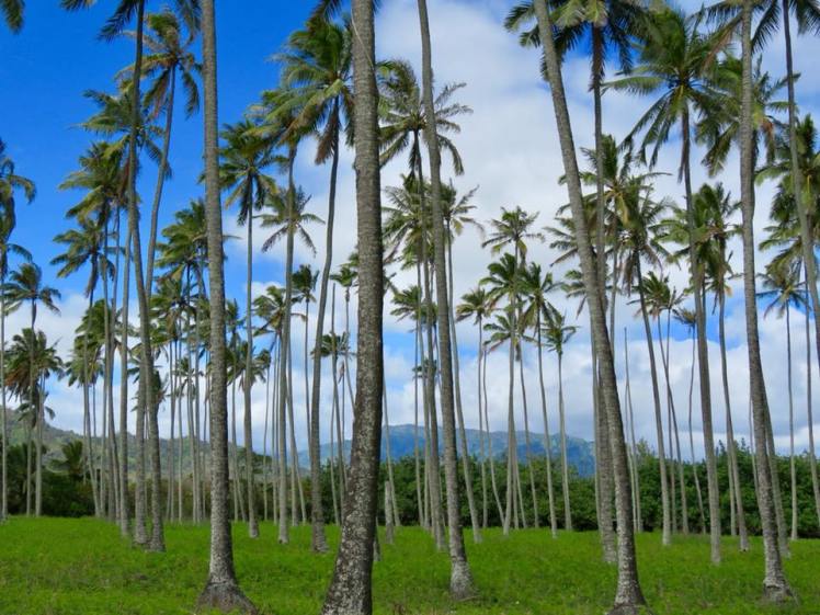 23167503_10155247874291799_2142533162464534099_n