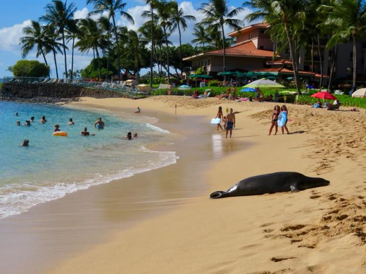 23172425_10155247893121799_6395625811318821282_n